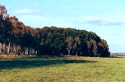 Landschaft um Polzen